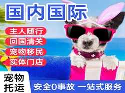 宜宾五粮液空运代理国际宠物托运 【国